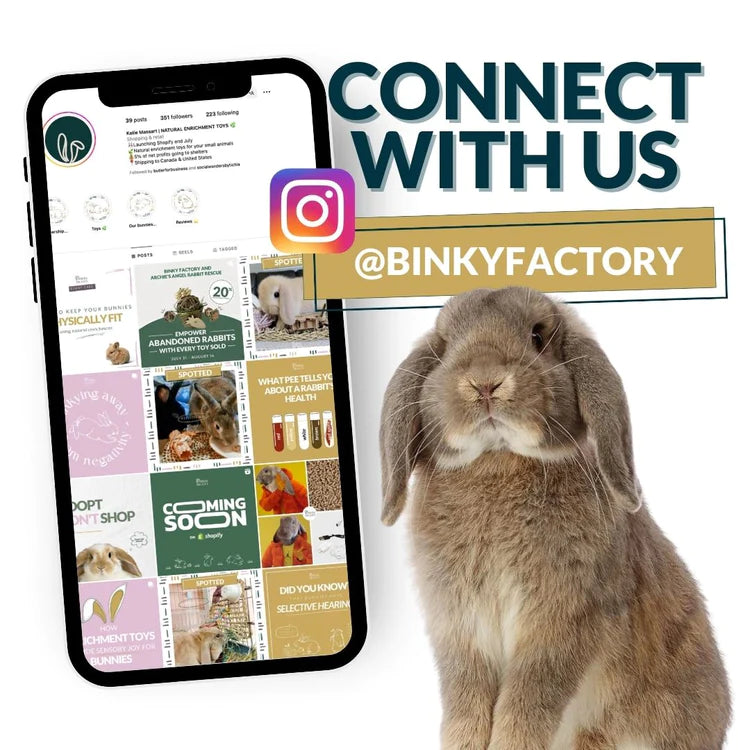 IG_BinkyFactory_2_978e9cb2-d8e6-44b6-abee-e103990898c2.webp