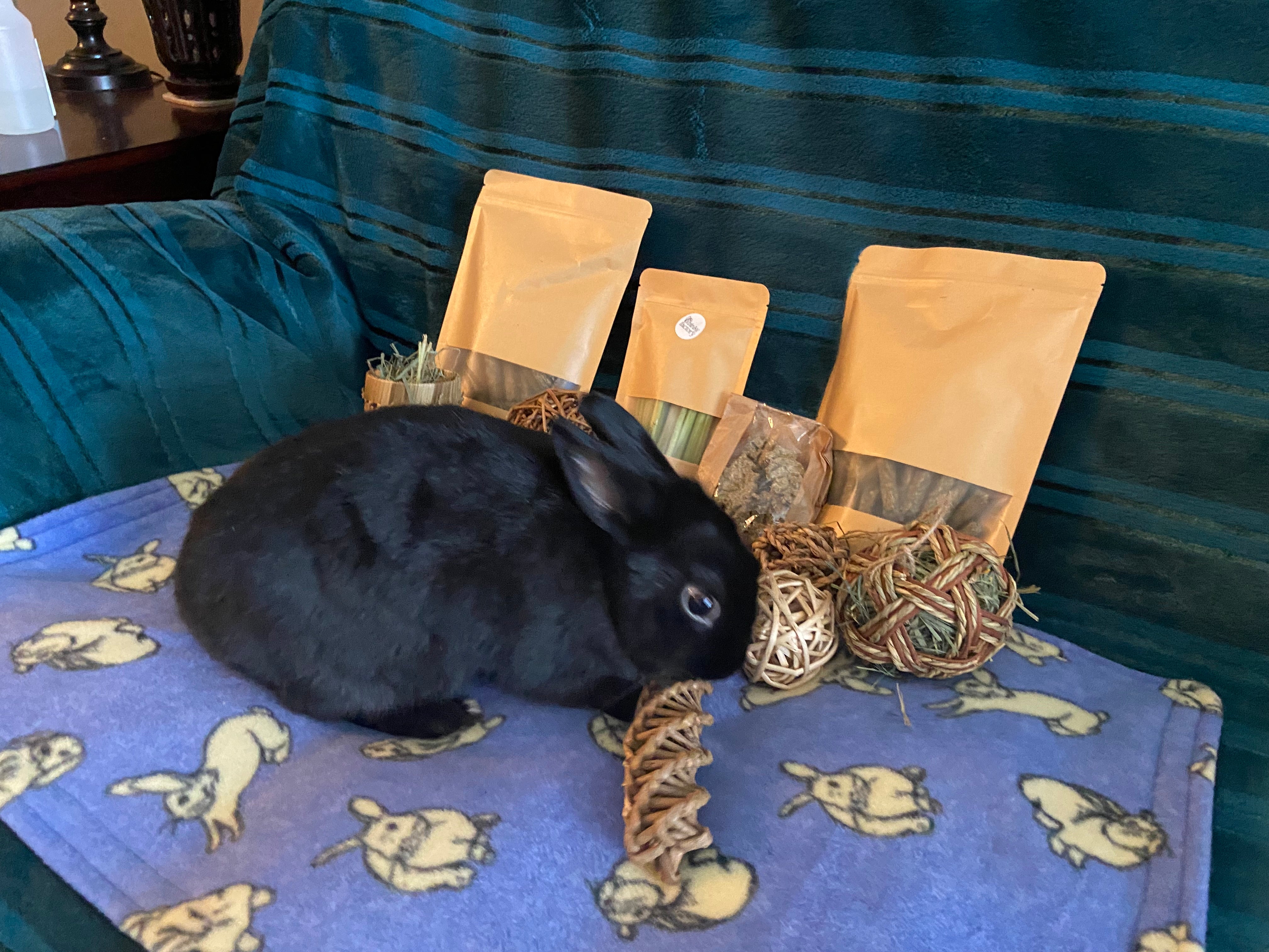 @prince_the_peanut_bunny