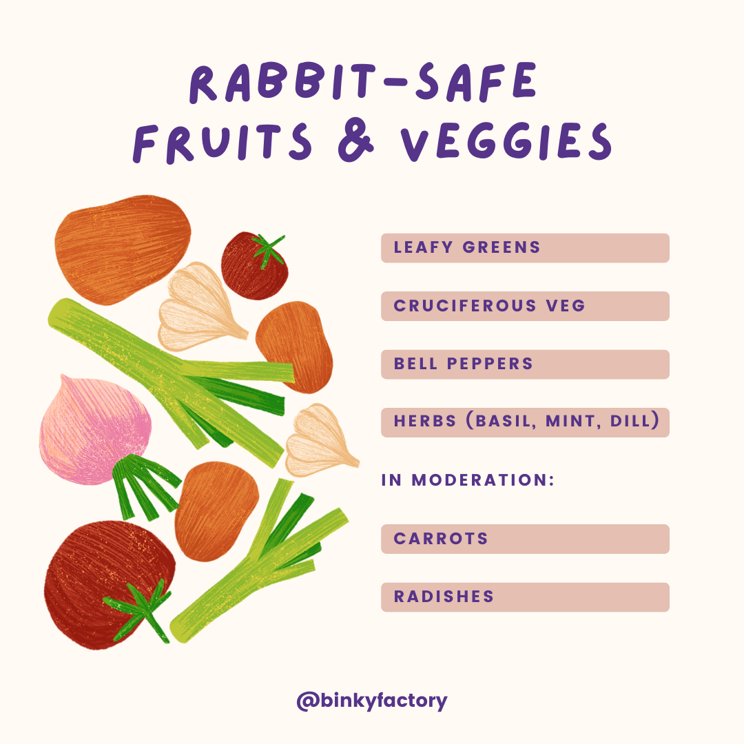 Safe Rabbit Greens Binky Factory Blog Expert Tips for Small Pet Care