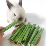 Bunny Bark Delights-Dried Papaya Stalk