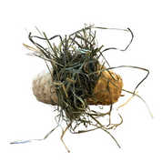 Bamboo Harvest Dumbbell
