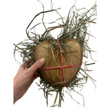 Fiestas de forraje de NaturEats: cuencos Palm Bliss