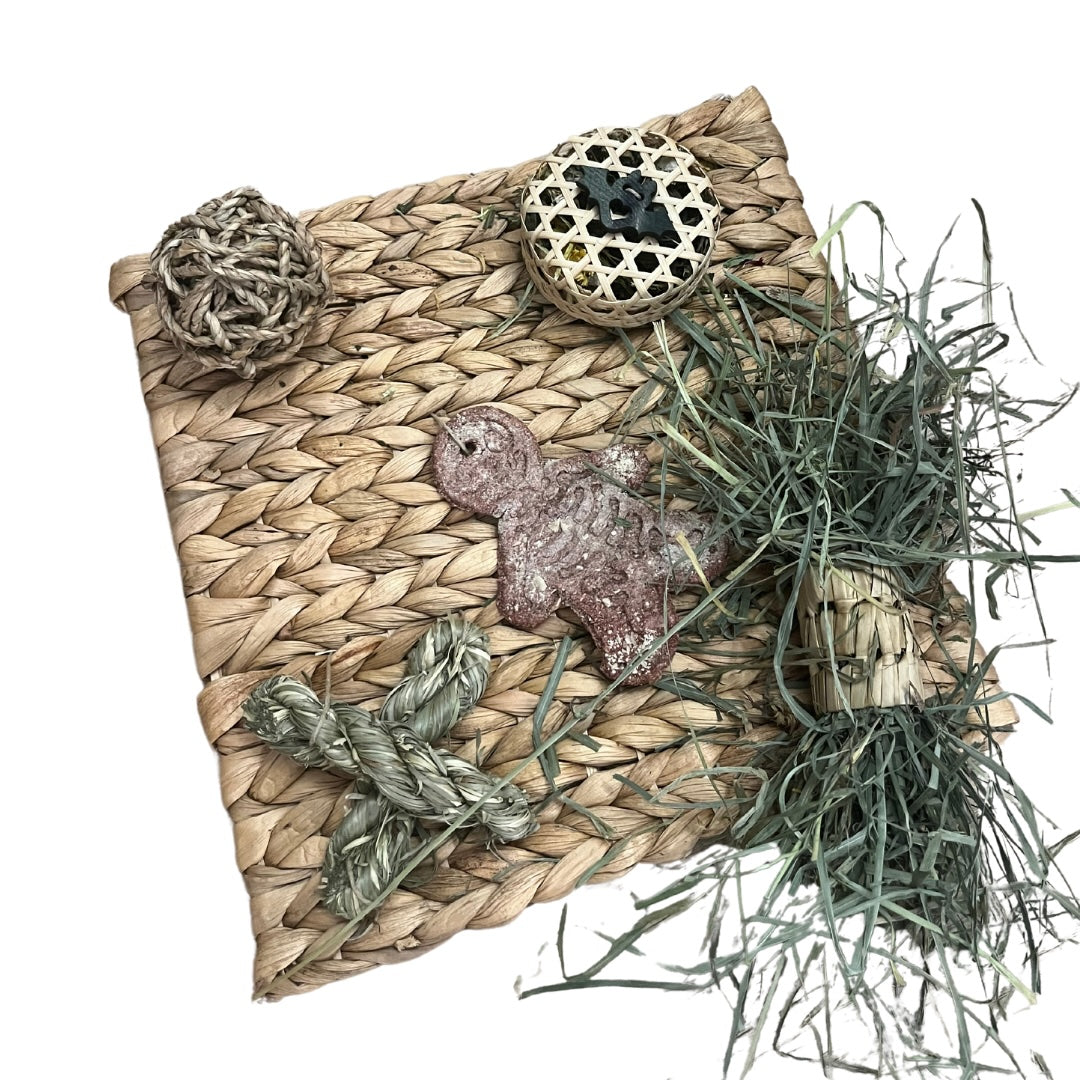 Bone-Appétit Activity Mat