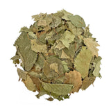Birch Leaves