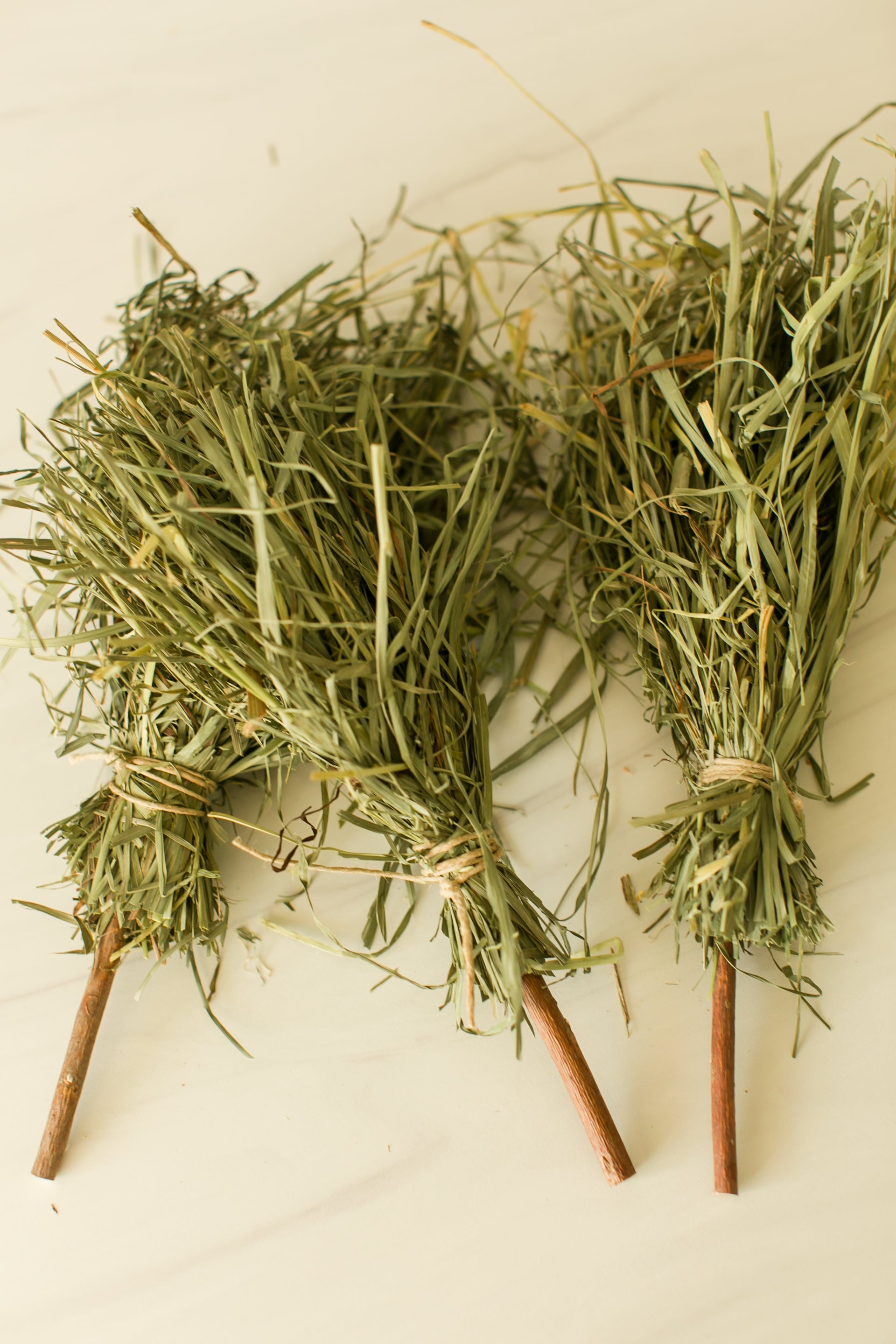 Witch's Broomstick