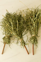 Witch's Broomstick