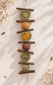 Blossom Bites Hanger