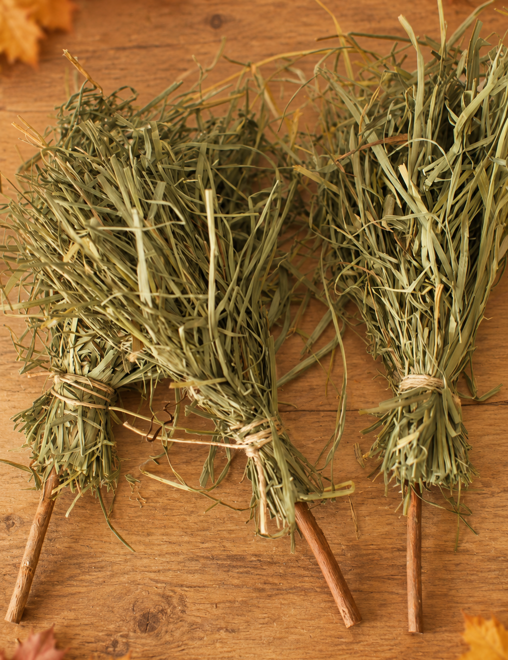 ChatGPT_Image_Sep_11_2026_at_09_22_19_PM.png