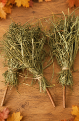 Witch's Broomstick