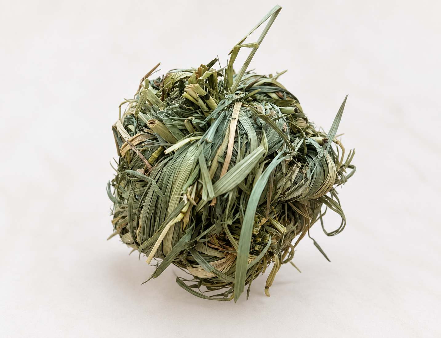 ChatGPT_Image_Sep_11_2026_at_10_52_25_PM.png