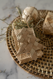 Festive Forage Wonderland