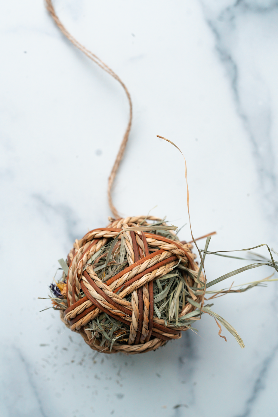 Holiday Forage Ornament