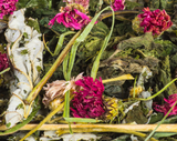 Flower Magic