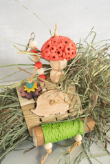 Hedgehog Hideaway