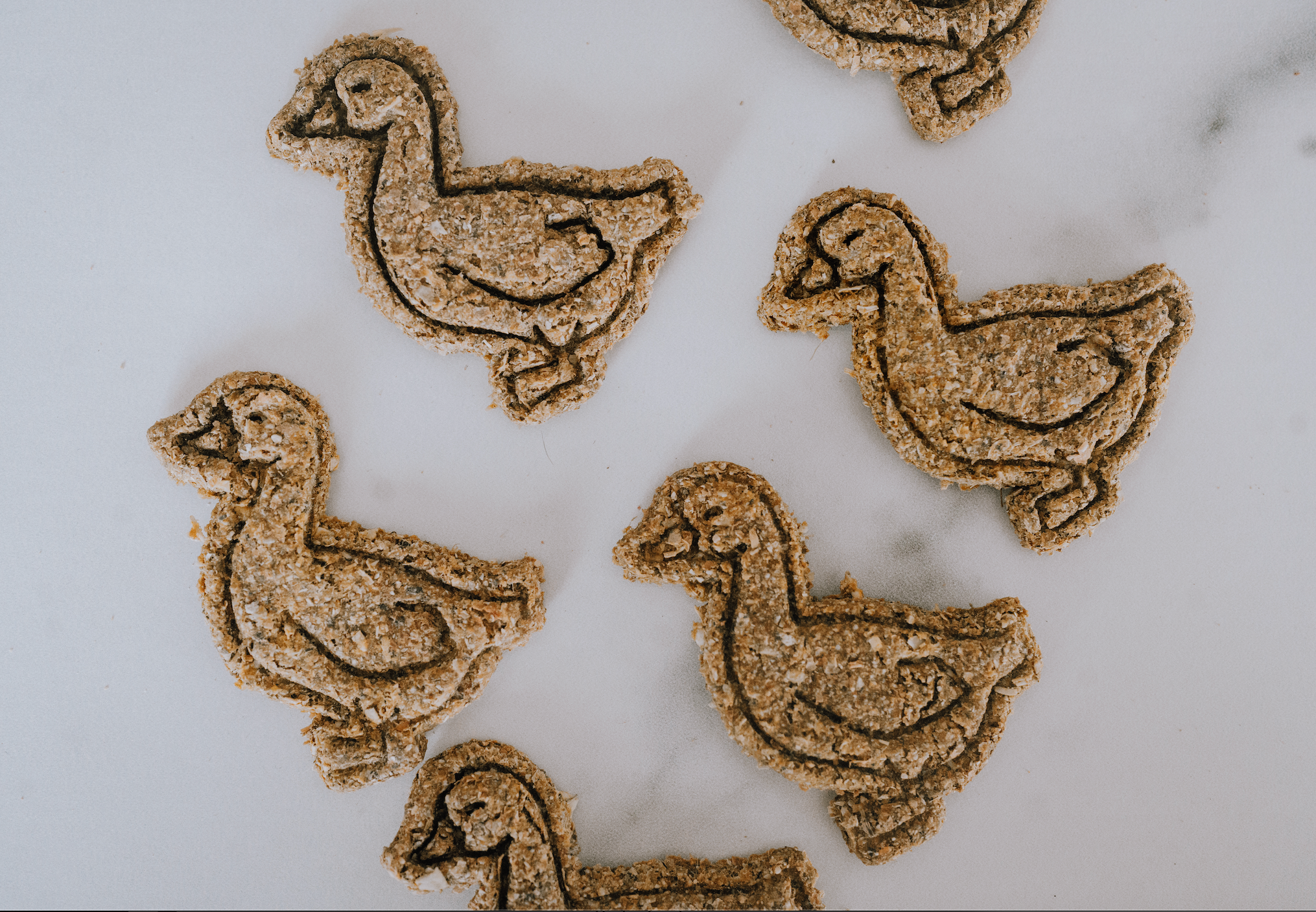 Goosey Chews