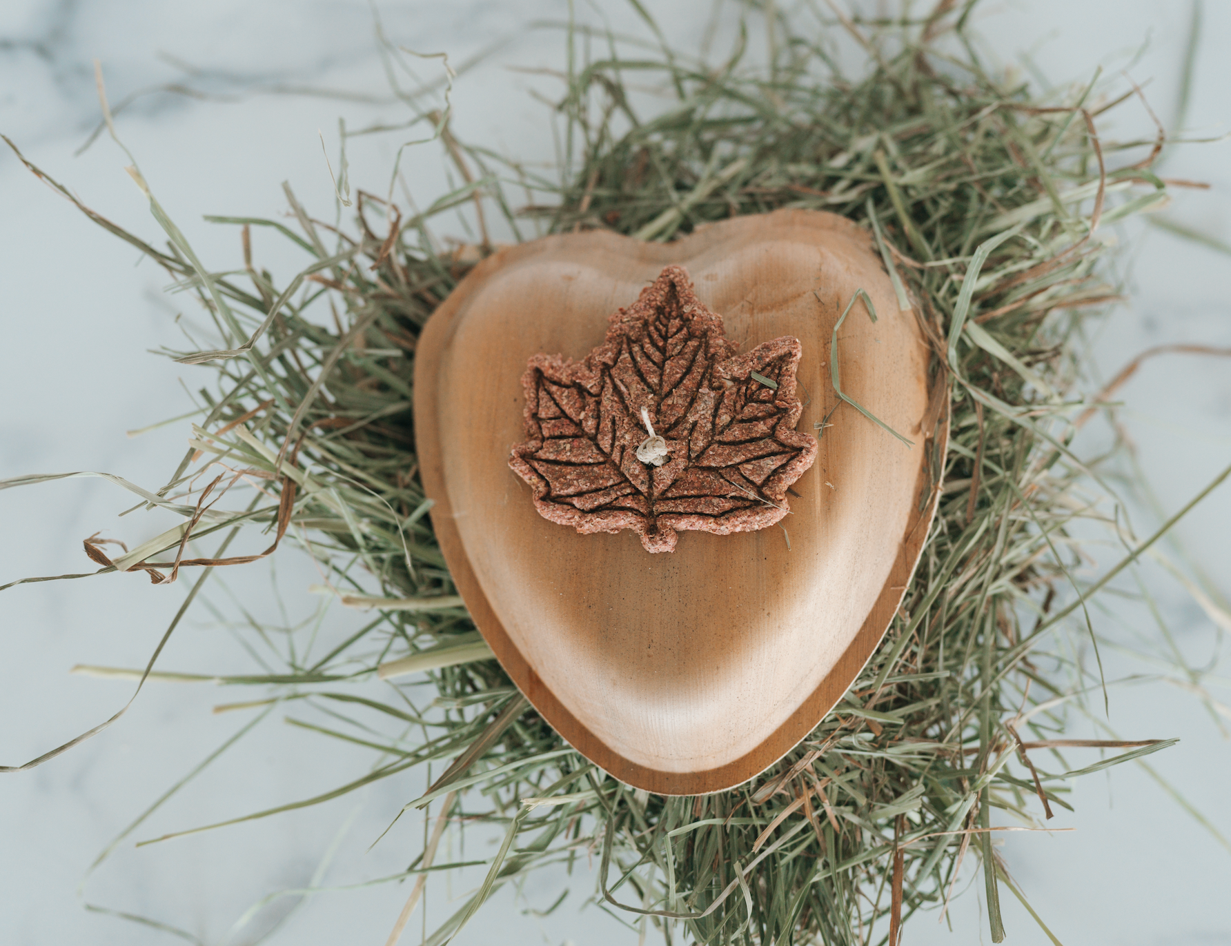 Maple Love Forage