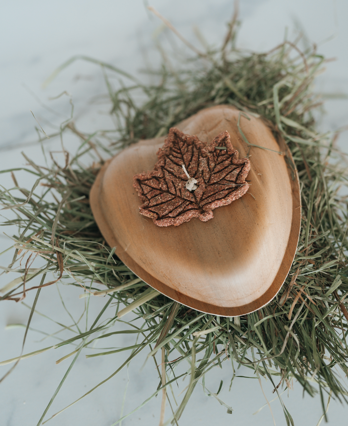 Maple Love Forage