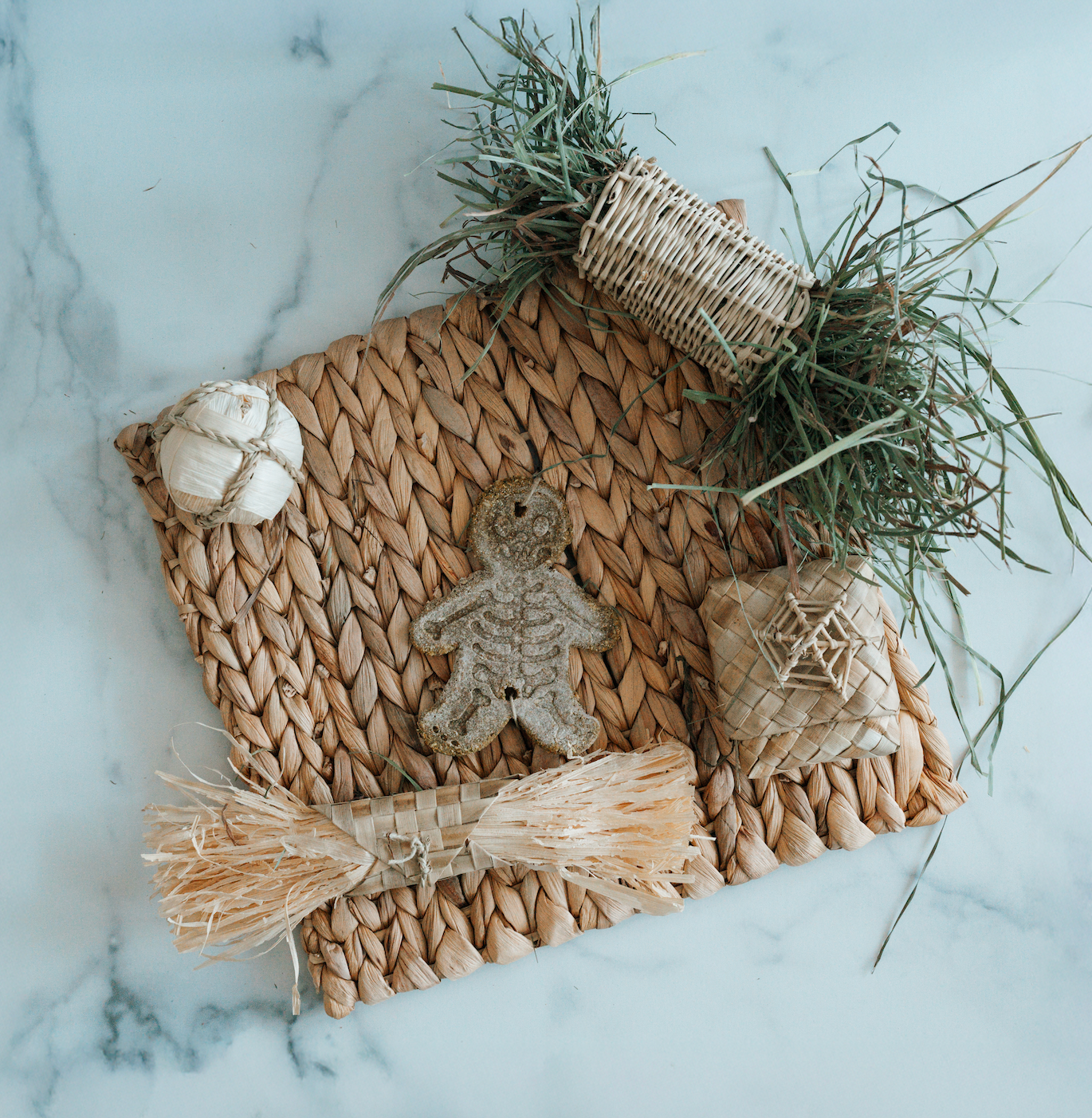 Bone-Appétit Activity Mat