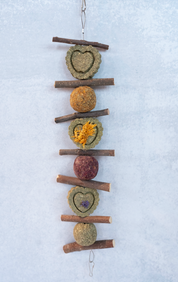 Blossom Bites Hanger