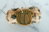 Pumpkin Patch Roll