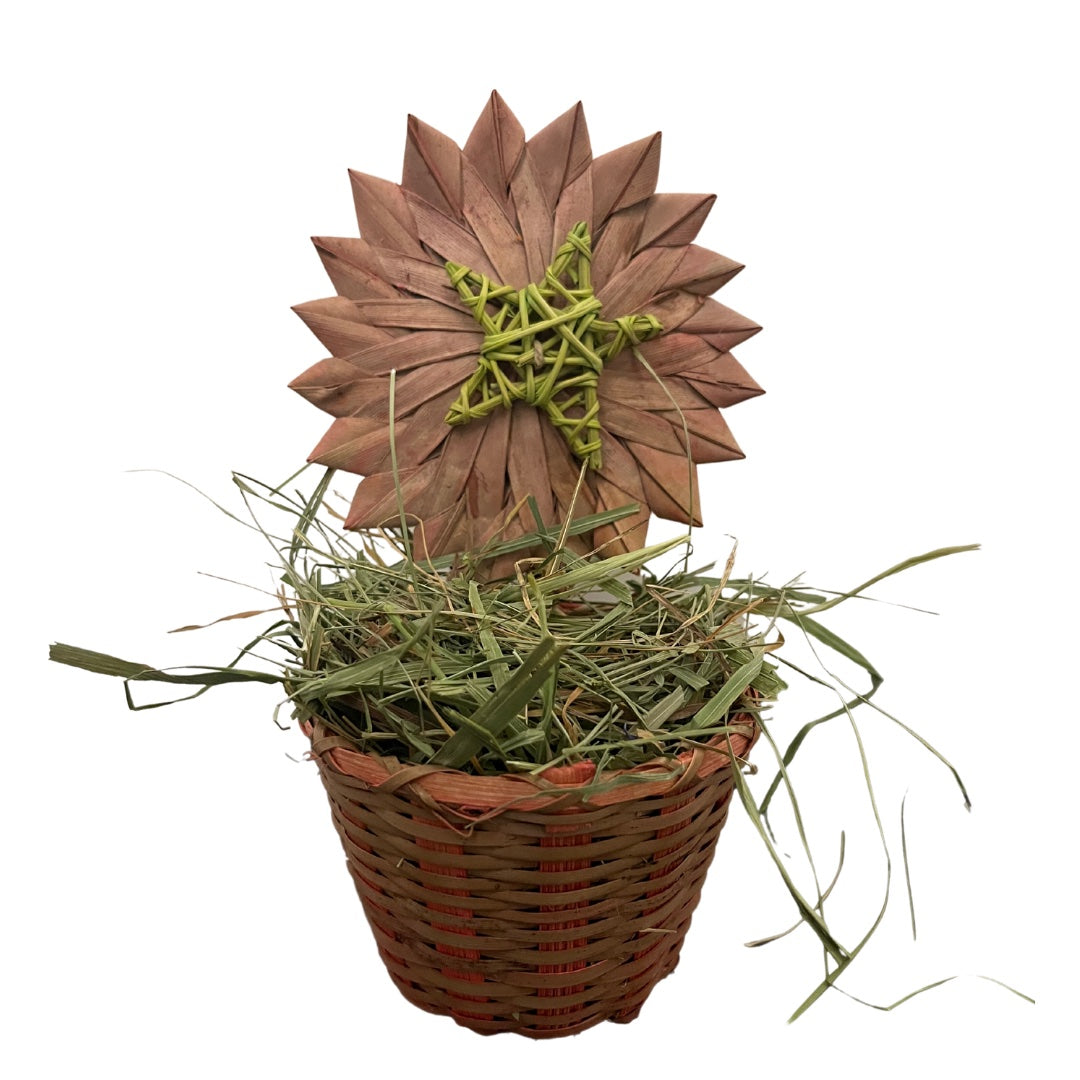 Tournesol